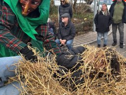 WhatsApp Image 2026-02-03 at 09.32.17 (7)